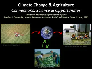 Exploring the Interplay Between Climate Change, Agriculture, and Textile Systems