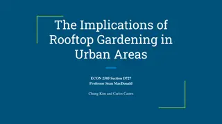 The Impact of Rooftop Gardening in Urban Areas