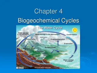 Biogeochemical Cycles and Their Impact on Earth's Ecosystems