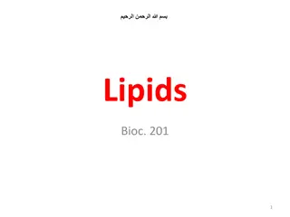 Understanding Complex Lipids: Glycerophospholipids and Sphingolipids