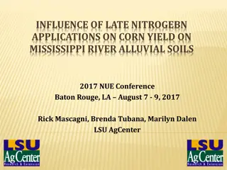 Influence of Late Nitrogen Applications on Corn Yield on Mississippi River Alluvial Soils - 2017 NUE Conference