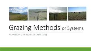 Grazing Methods and Systems for Sustainable Rangeland Management