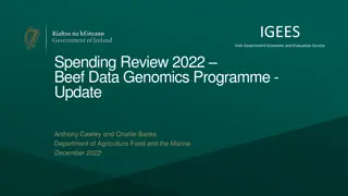 Update on Irish Government's Beef Data Genomics Programme