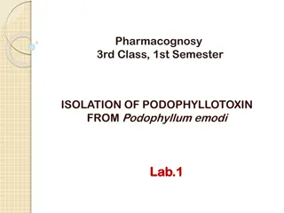 Podophyllotoxin: Isolation, Mechanism of Action, and Medicinal Uses