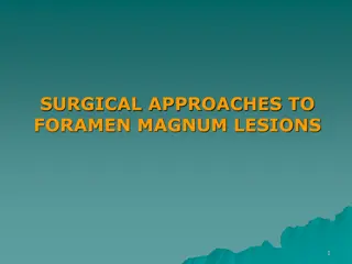 Surgical Approaches to Foramen Magnum Lesions: Anatomy and Considerations