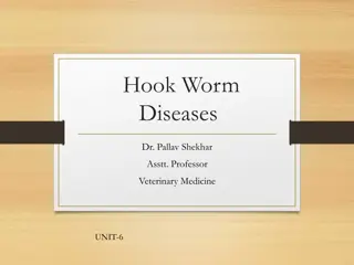 Overview of Hookworm Diseases in Veterinary Medicine