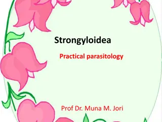 Overview of Strongyloidea Parasites in Veterinary Parasitology