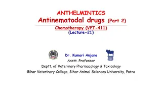 Overview of Anthelmintic Drugs for Veterinary Use