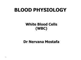 White Blood Cell Physiology and Function