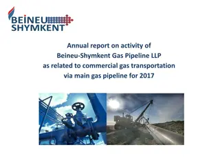 Annual Report on Activity of Beineu-Shymkent Gas Pipeline LLP for Gas Transportation in 2017