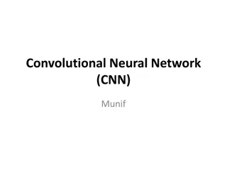 Convolutional Neural Networks (CNN) in Depth