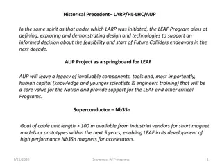 Future Colliders Program - LEAF Initiative Overview