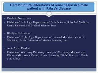 Ultrastructural Alterations of Renal Tissue in a Male Patient with Fabry's Disease