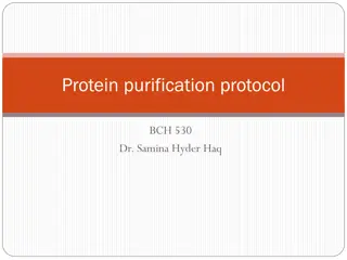 Protein Purification Protocol: Practical Training in Biochemistry Techniques