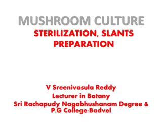 Mushroom Culture Sterilization and Slants Preparation Methods