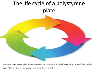 The Life Cycle of Polystyrene Plates: Environmental Impact Analysis