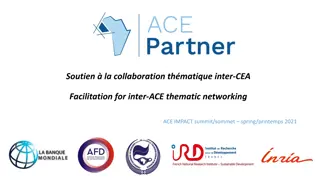 Facilitation for Inter-ACE Thematic Networking at ACE IMPACT Summit Spring 2021