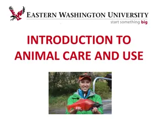 Understanding Animal Care and Use in Research and Teaching