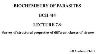 Survey of Structural Properties of Different Classes of Viruses