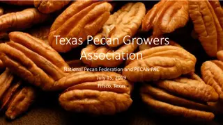 Updates on Pecan Industry: Legislation, Trade, and PAC Activities