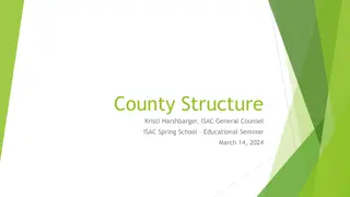 Understanding Horizontal Leadership in County Government: Challenges and Solutions