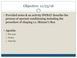 Understanding Operant Conditioning: The Process and Importance