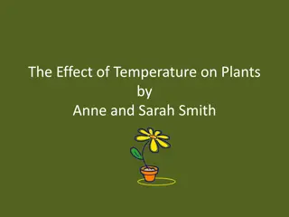 Study on the Effects of Temperature on Plant Growth