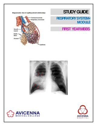 Respiratory System Study Guide for First Year MBBS Students