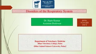 Veterinary Guide: Respiratory System Disorders in Horses