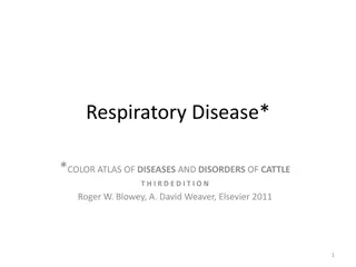 Respiratory Diseases in Cattle: Causes, Infections, and Management