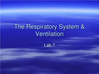 The Respiratory System and Ventilation Lab Activities