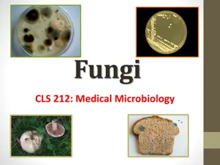 The Fascinating World of Fungi in Medical Microbiology