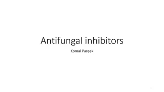 Antifungal Inhibitors and Drugs