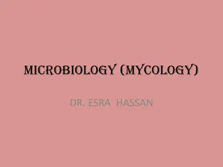 Fungi: A Brief Overview of Mycology in Microbiology by Dr. Esra Hassan