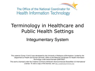 Understanding the Integumentary System in Healthcare