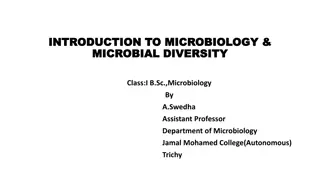 Exploring Microbial Diversity: Fungi in Microbiology