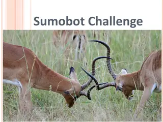 Sumobot Challenge: Building and Battling Robots in the Arena