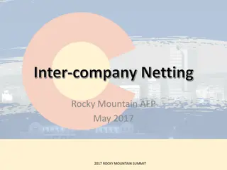 Efficient Inter-Company Netting Solutions for Multinational Corporations