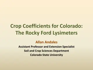 Understanding Crop Coefficients in Colorado