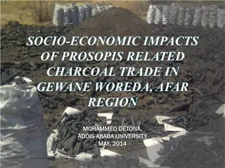 Socio-Economic Impacts of Prosopis-Related Charcoal Trade in Gewane Woreda, Afar Region