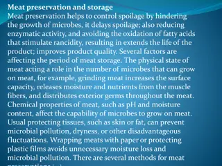 Meat Preservation Techniques and Storage Methods