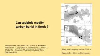 Carbon Modification by Seabirds in Fjords: Implications and Patterns