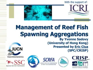 Importance of Managing Reef Fish Spawning Aggregations