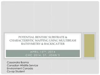 Benthic Substrate Characterization Through Multibeam Bathymetry