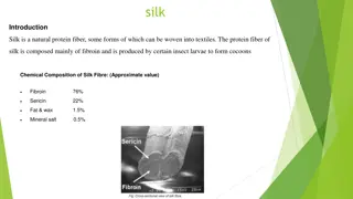 The Degumming Process in Silk Production