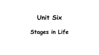 Stages of Life: From Ancient Egypt to Modern Day Events