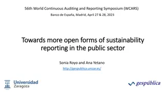 Enhancing Sustainability Reporting in the Public Sector: Challenges and Opportunities