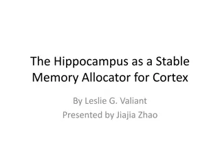 Memory Allocation in the Hippocampus and Cortex