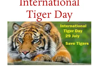 International Tiger Day: Celebrating Conservation Efforts