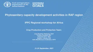 Phytosanitary Capacity Development Activities in RAF Region - IPPC Regional Workshop for Africa Crop Production and Protection Team 2021